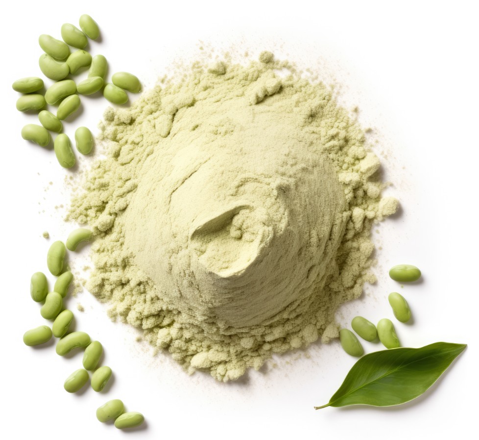 BuxT, Fava Bean Protein Powder, 100g