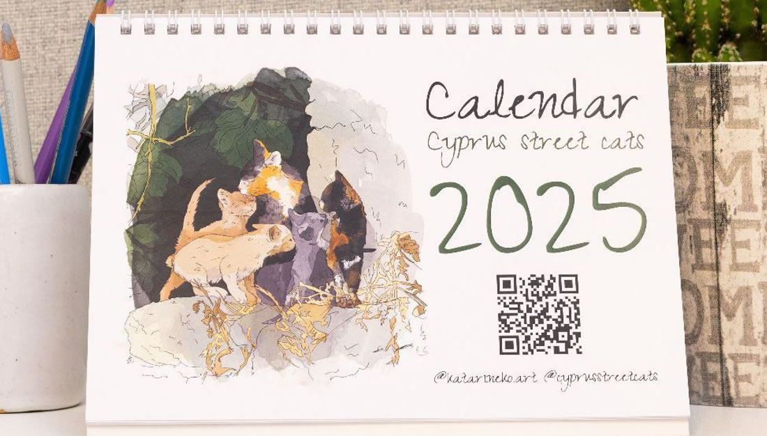 Katarineko, Cyprus Street Cats Charity Calendar 2025