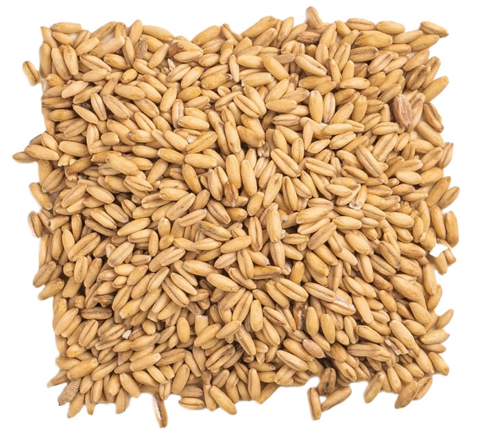 Hulled Oats, 1kg