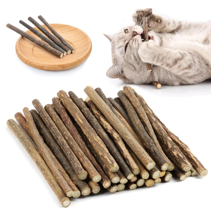 SP Eco, Catnip Sticks for Cats - Cat Dental Chew Sticks, 20g